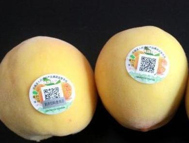 产品溯源二维码